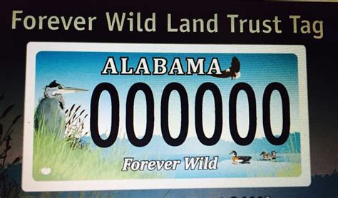 New Video About Alabamas Conservation Car Tags Bham Now
