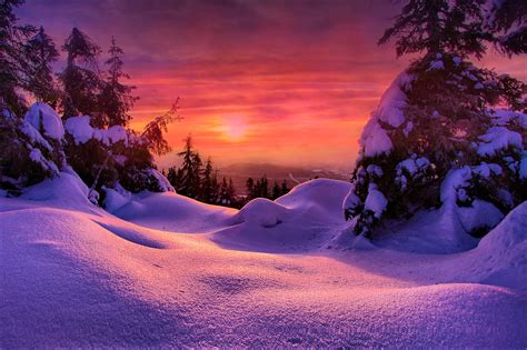 Winter Snow Sunset Wallpaper