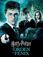 Prime Video: Harry Potter y la Orden del Fénix