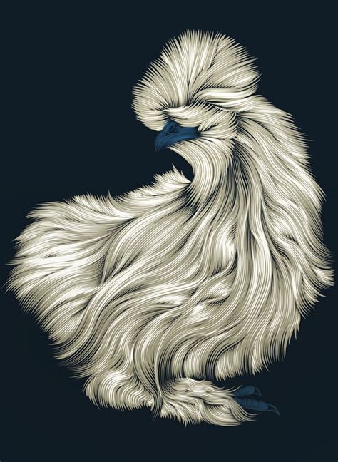 Fluffy Silkie Chicken Illustration By Patrick Seymour Its A Wonderful Rendering Of Hair In