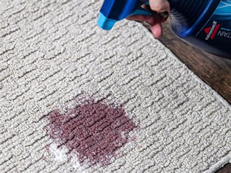 Rugs and carpets take a beating from shoes, kids and pets. Carpet-Saving Stain Removal Tips | BISSELL