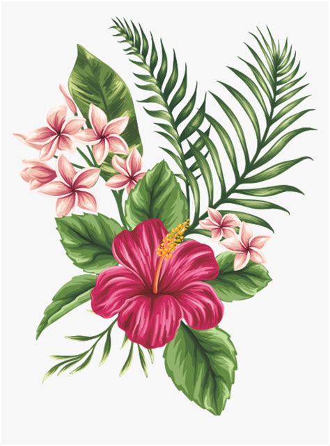 Tropical Flower Drawing Vectors Best Flower Site