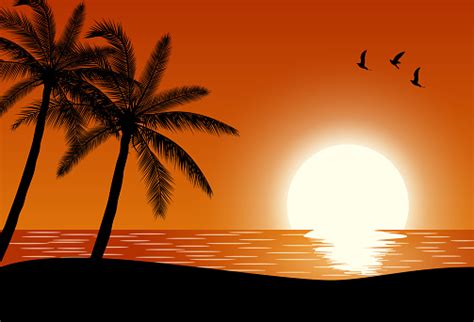 Download beach scene stock vectors. Silhouette Palm Tree On Beach Stock Illustration ...