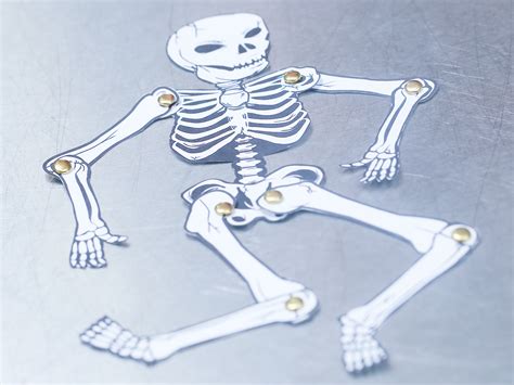 Comment Faire Un Squelette Humain En Papier 12 étapes