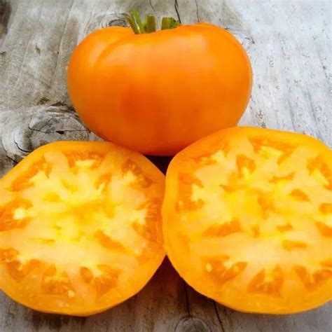 Amana Orange Tomato Seed Victory Gardeners