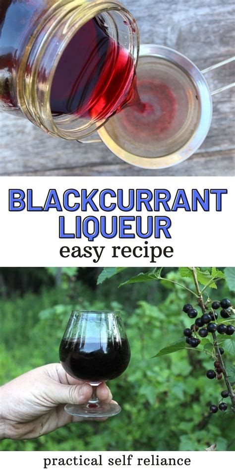 Blackcurrant Liqueur Homemade Creme De Cassis Artofit