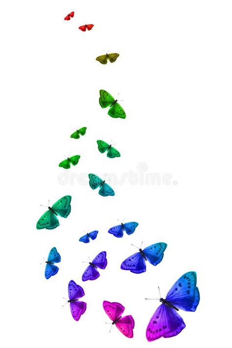 Many Different Butterflies Flying Stock Illustrations 387 Many