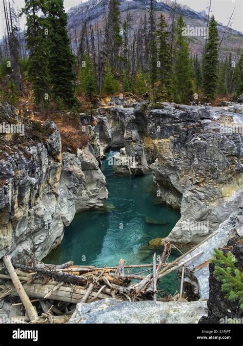 Marble Canyon Kootenay River British Columbia Stock Photo Alamy