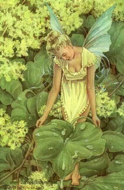 Pin By Manuela Franz On Fairies Fairy Art Faeries Fairy