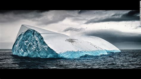 Antarctica Photos From The End Of The Earth