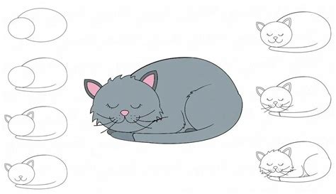 Cat Laying Down Drawing Reference Sheilase Wallpaper