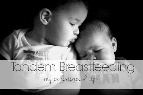 Tandem Breastfeeding Pig And Dac