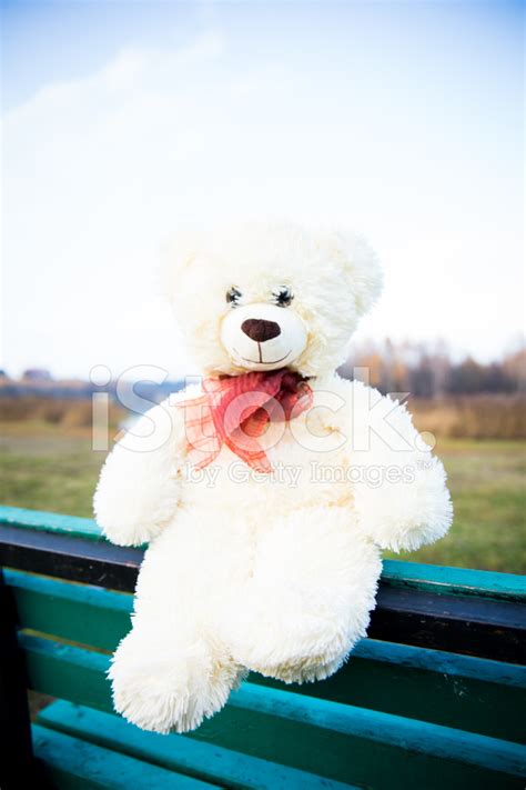 Cute Teddy Bear Sitting On The Bench Stock Photo Royalty Free