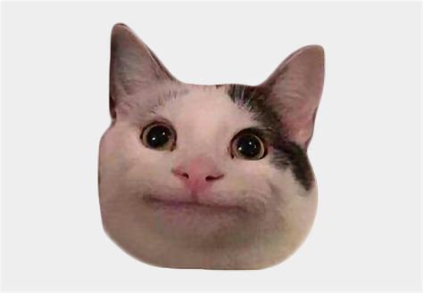 Funny Cat Pictures Memes And Quotes Cursed Emoji Meme Cat