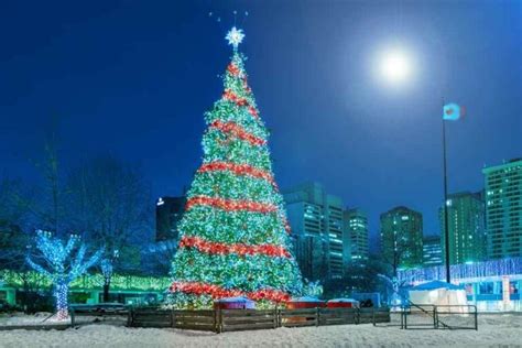 Christmas Traditions And Customs In Canada