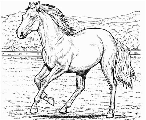 Colour Book Horse Colouring Pages