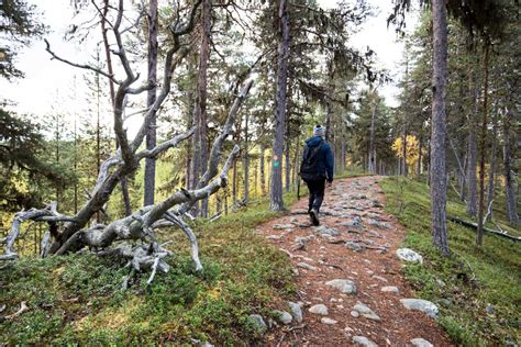 Lemmenjoen Kansallispuisto Metsäerämaata Ja Tuntureita Matkalla
