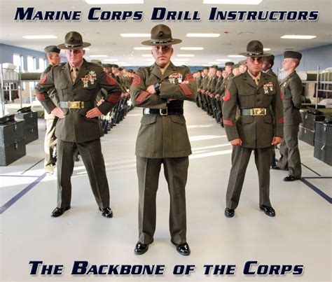 Marine Corps Drill Instructors The Backbone Of The Corps Marine Corps Quotes Marine Corps Humor
