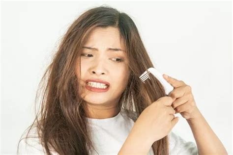 Cara Merawat Rambut Rusak Kering Dan Mengembang Dengan Benar