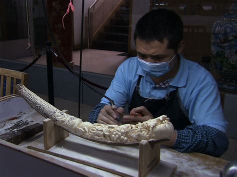 The Economics Of The Illicit Ivory Trade National Geographic Society