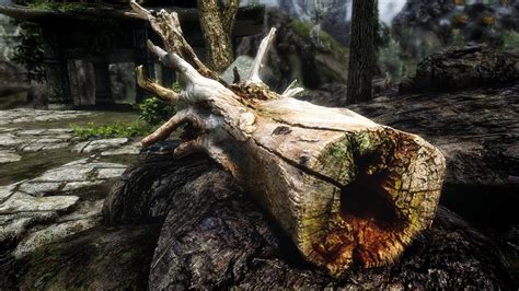Wood At Skyrim Special Edition Nexus Mods And Community