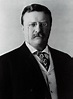Theodore Roosevelt Wallpapers - Top Free Theodore Roosevelt Backgrounds ...