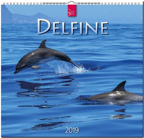 Delfine Original StÜrtz Kalender 2019 Verlagshaus Würzburg Die
