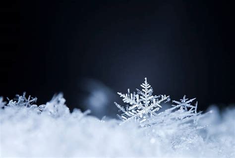 Best Snowflake Stock Photos Pictures And Royalty Free Images Istock