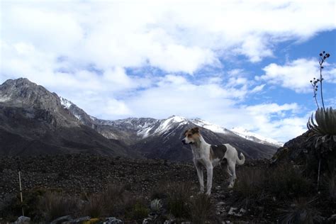 Los Picos Más Elevados De Mérida Venezuela Expedición Andina