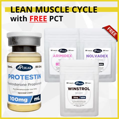 Testosterone Propionate And Winstrol Cycle With Free Pct Weeks Lean Muscle Mass