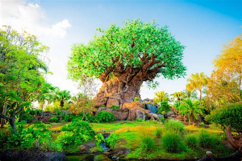 Disneys Animal Kingdom Complete Overview Of Lands And Areas Orlando