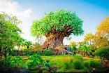 Disney's Animal Kingdom: Complete Overview of Lands and Areas | Orlando ...