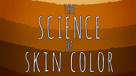 The Science Of Skin Color The Kid Should See This