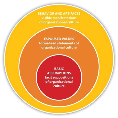 Three Levels Of Organizational Culture Hot Sex Picture