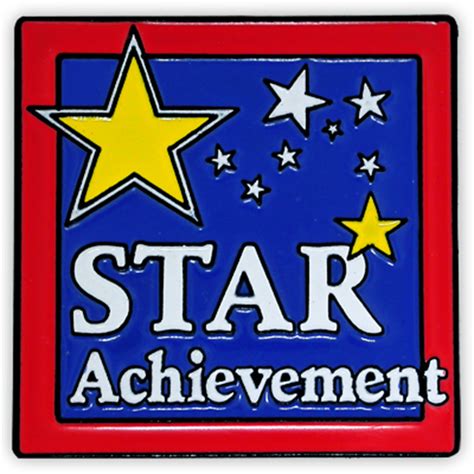 Pinmarts Star Achievement Motivational Recognition Lapel Pin Ebay