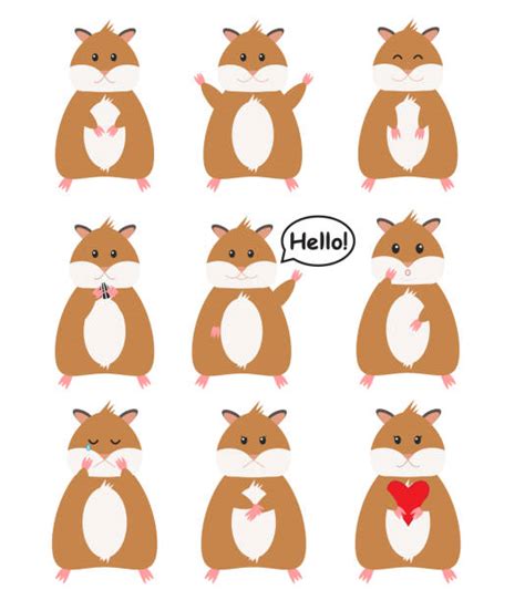 420 Funny Hamster Background Stock Illustrations Royalty Free Vector