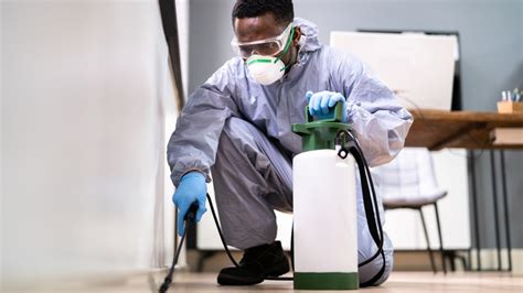5 Things To Consider Before Hiring Professional Pest Control
