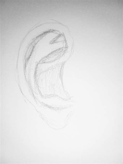 Drawing Ears Graphite Studies Betterlatethanneverart