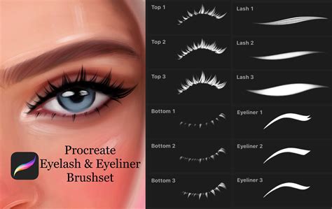 Procreate Eyelash And Eyeliner Stamp Brushes Procreate Brushes Free