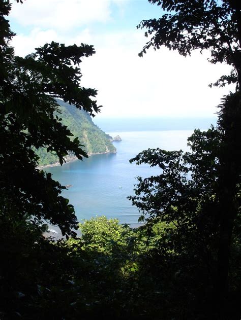 Tour With Tourists Using Trails The Cocos Island National Park Costa Rica