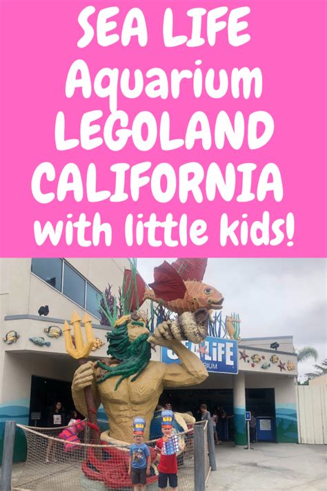 Sea Life Aquarium Legoland California With Little Kids Legoland