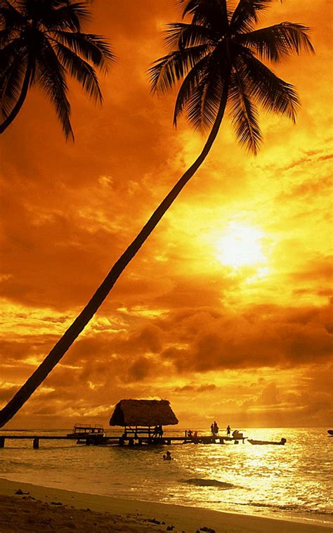 Tropical Sunset Wallpaper Beach Wallpapers