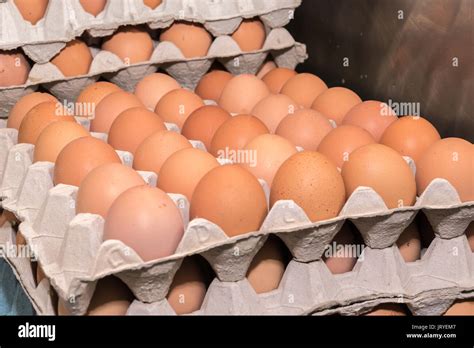 Chicken Eggs Stacked In Trays Stock Photo Alamy