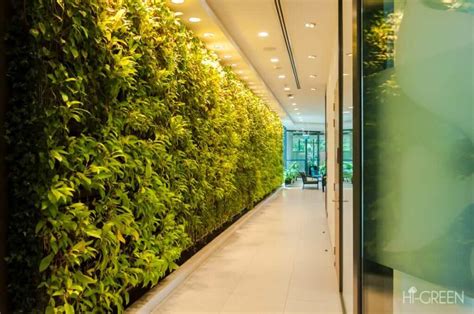 Vertical Green Walls Making Your Spaces A Treat For The Eyes