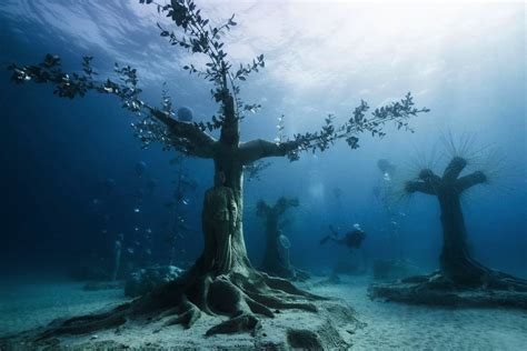Jason Decaires Taylors Underwater Forest In Cyprus Collateral