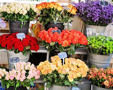 Many of our flowers are grown from se. Paris Flower Market Print Colorful French Floral Wall ...