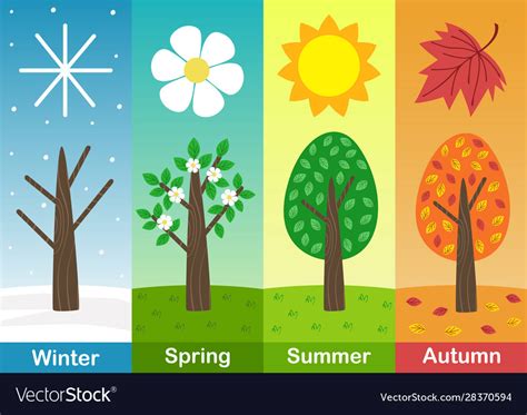 Four Seasons Banners With Trees Royalty Free Vector Image