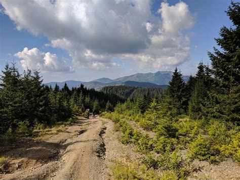 Carpathians Carpathian Mountains Ukraine Viktar Palstsiuk Flickr