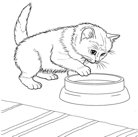 By best coloring pages may 16th 2017. Javaneeze kitten kleurplaat | Gratis Kleurplaten printen