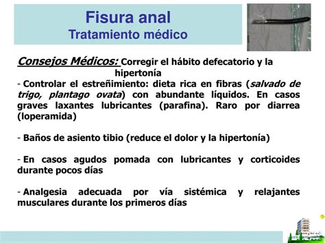 Ppt Anatomía Quirúrgica Del Recto Y Ano Powerpoint Presentation Free Download Id 4754390